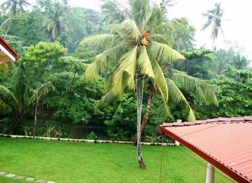 Cảnh ngoài trời Ảnh