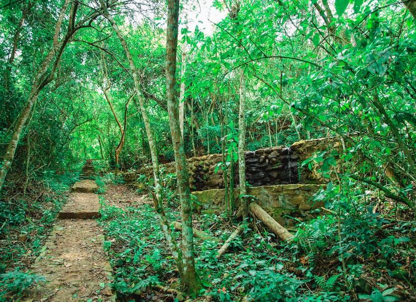 Cảnh ngoài trời Ảnh