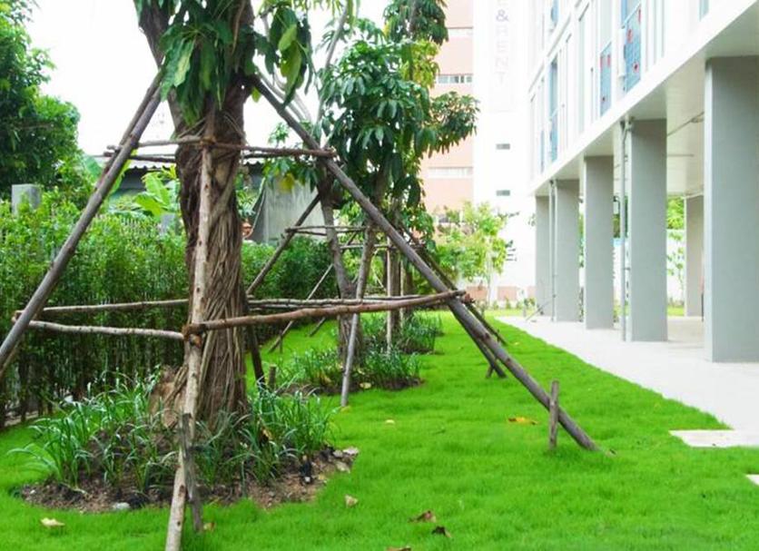 Cảnh ngoài trời Ảnh