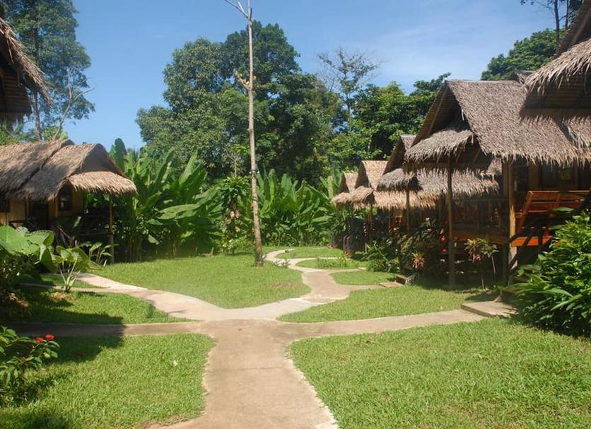 Cảnh ngoài trời Ảnh