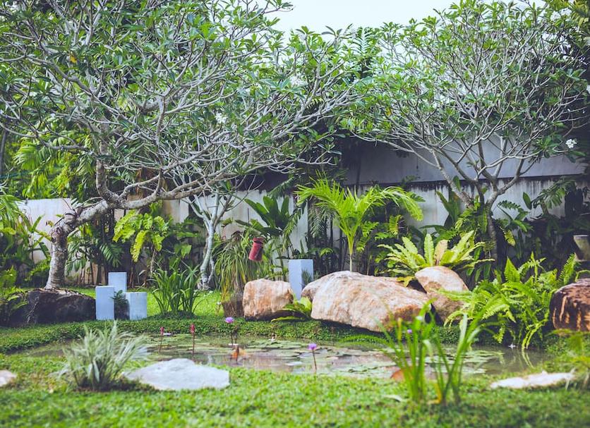 Cảnh ngoài trời Ảnh