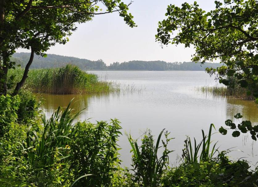 Khác Ảnh