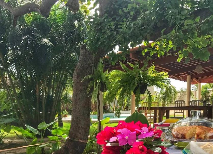 Cảnh ngoài trời Ảnh