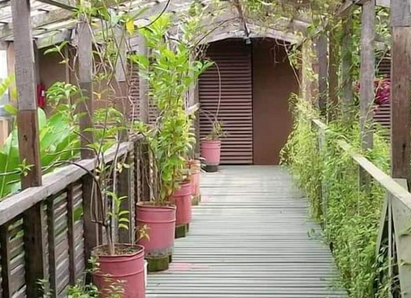 Cảnh ngoài trời Ảnh