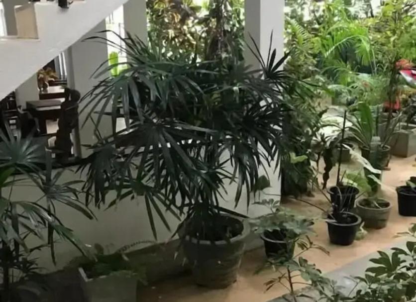 Khác Ảnh