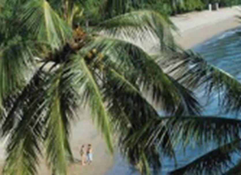 Cảnh ngoài trời Ảnh