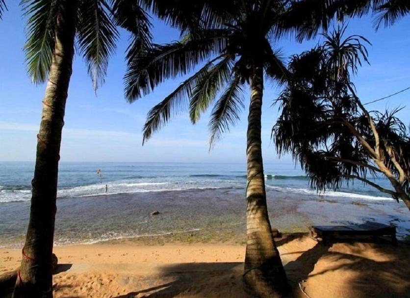 Bãi biển Ảnh