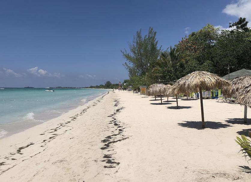 Bãi biển Ảnh