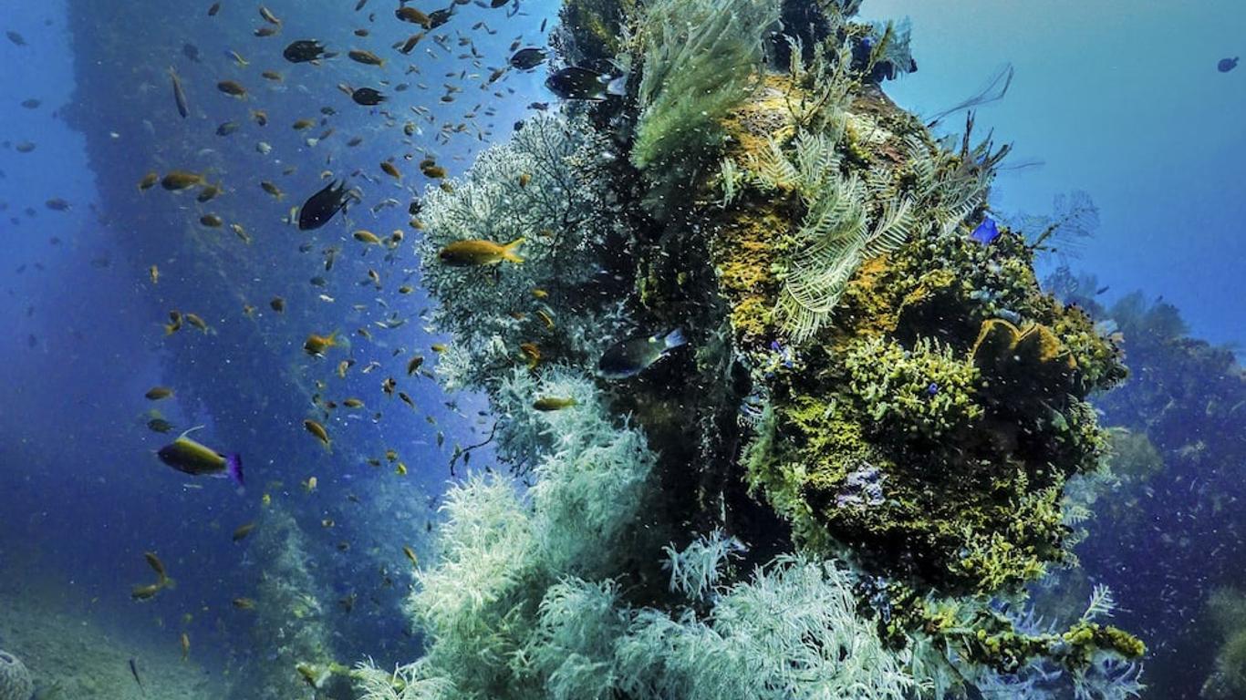 La Bila Dive Resort Amed