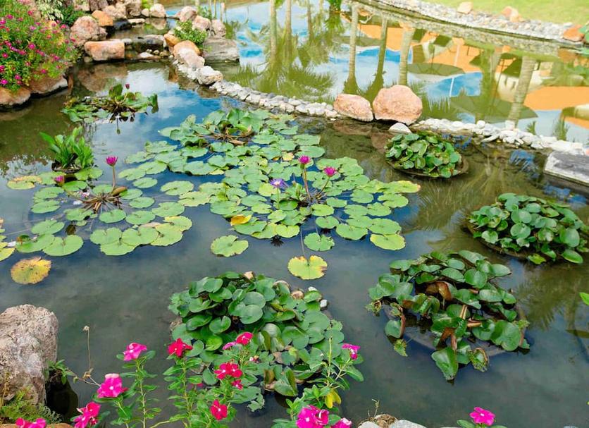 Cảnh ngoài trời Ảnh