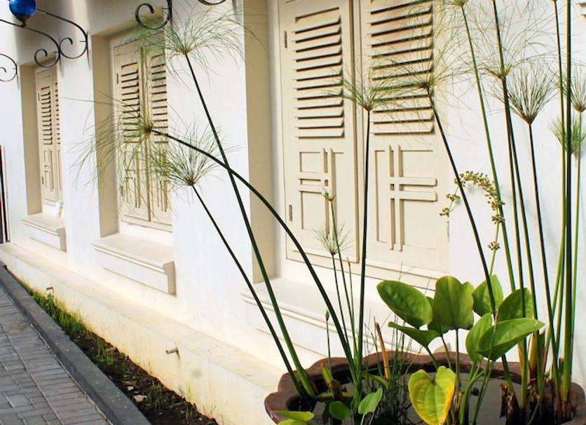Cảnh ngoài trời Ảnh