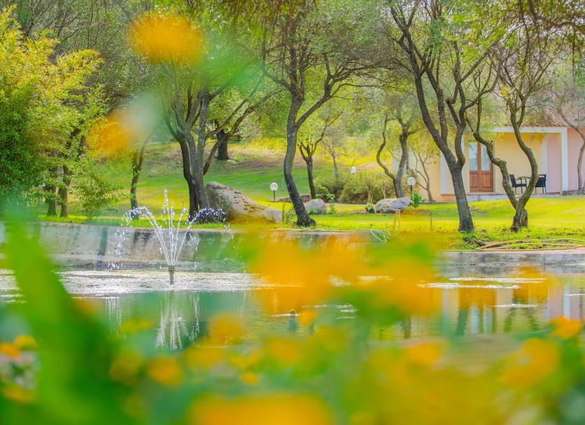 Cảnh ngoài trời Ảnh