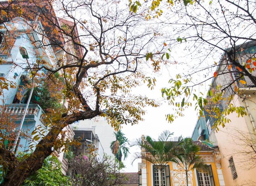 Cảnh ngoài trời Ảnh