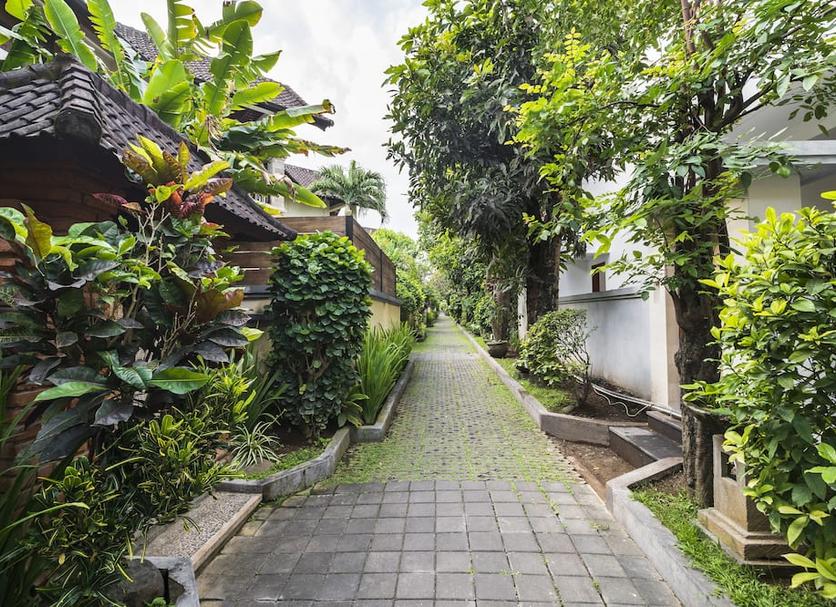 Cảnh ngoài trời Ảnh