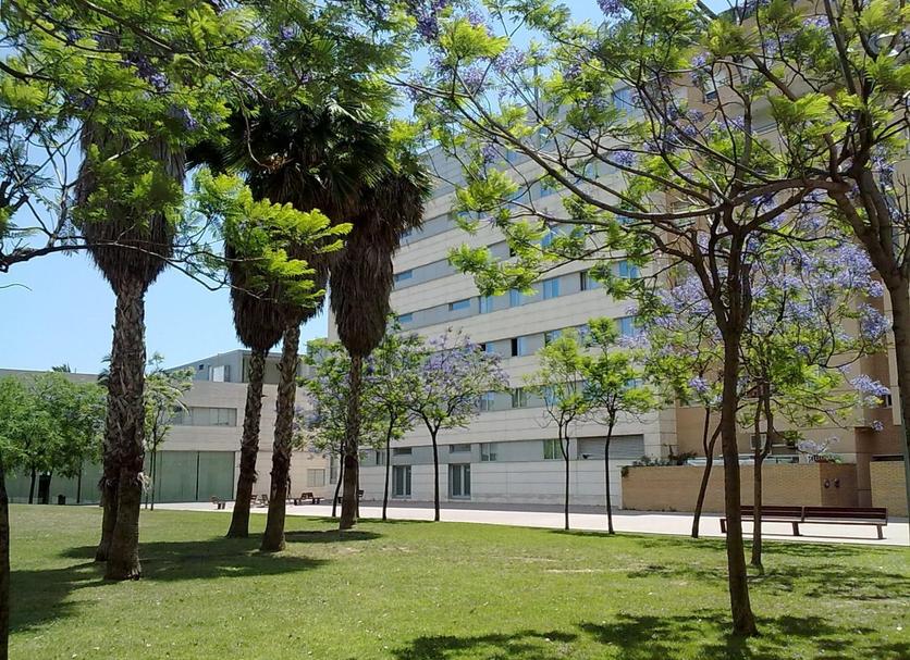 Toà nhà Ảnh