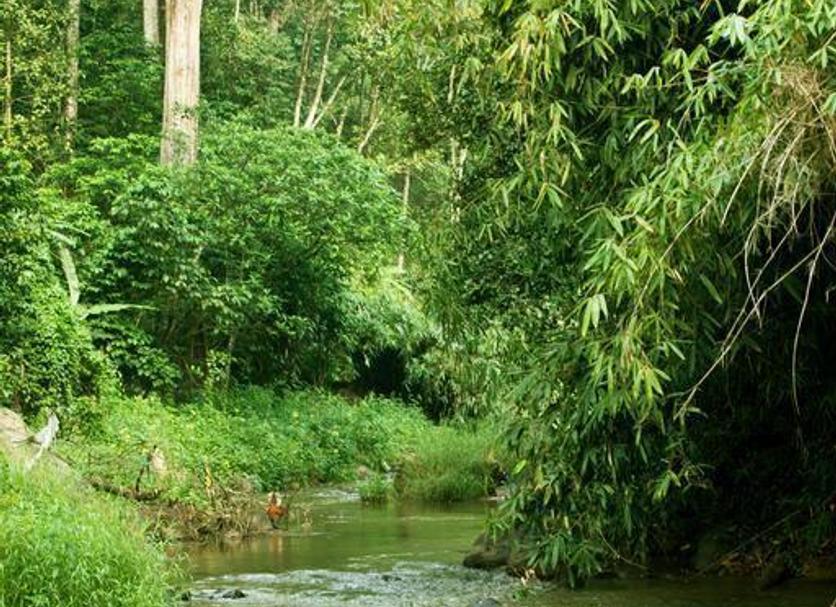 Cảnh ngoài trời Ảnh