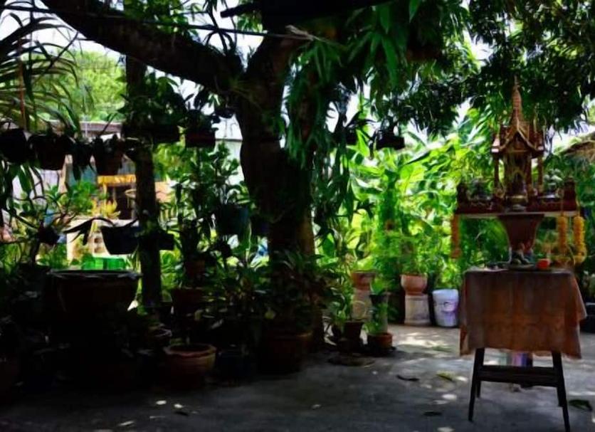 Cảnh ngoài trời Ảnh