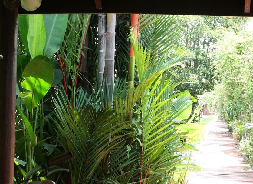 Cảnh ngoài trời Ảnh