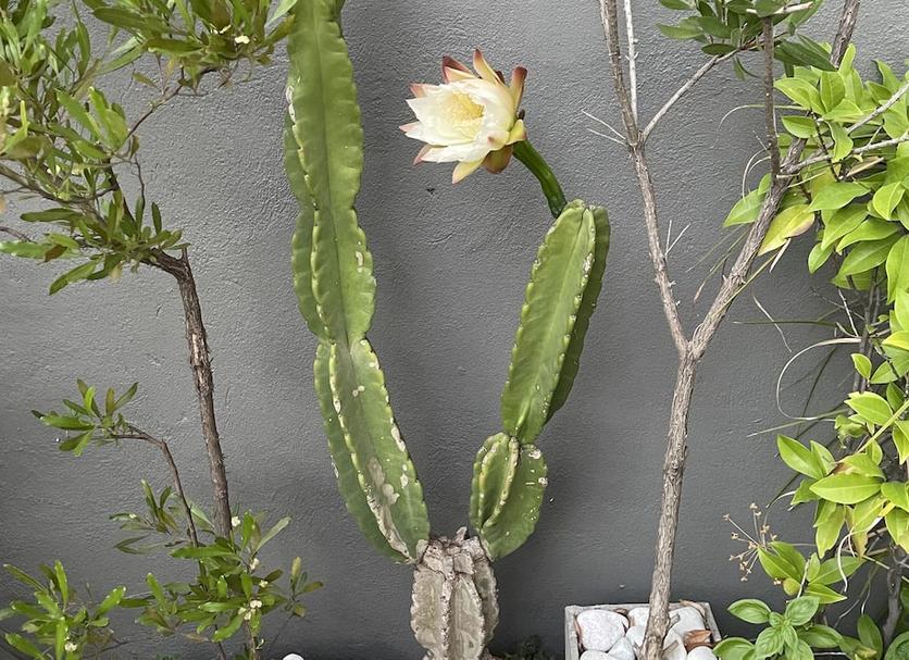 Cảnh ngoài trời Ảnh