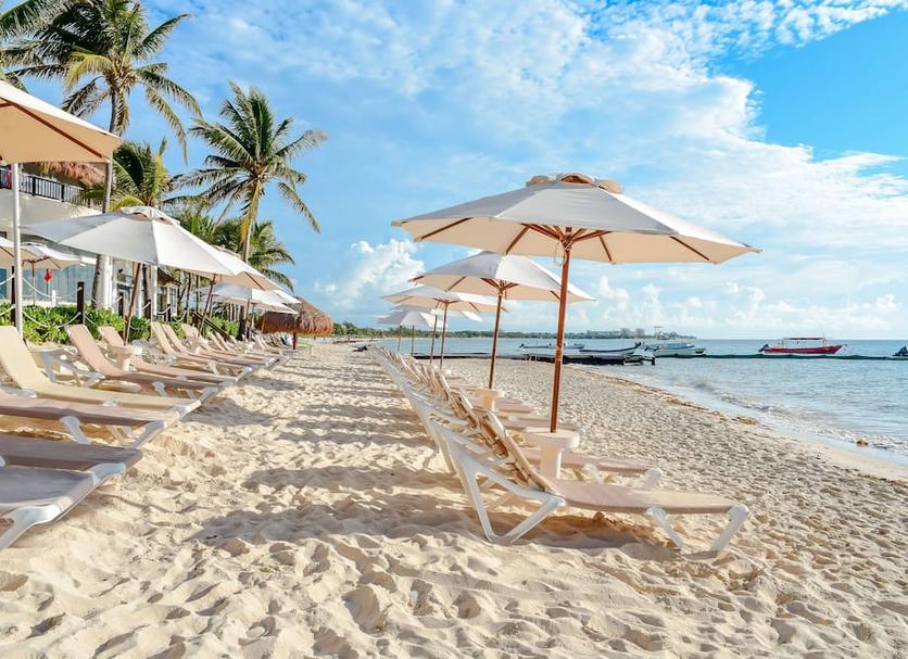 Bãi biển Ảnh