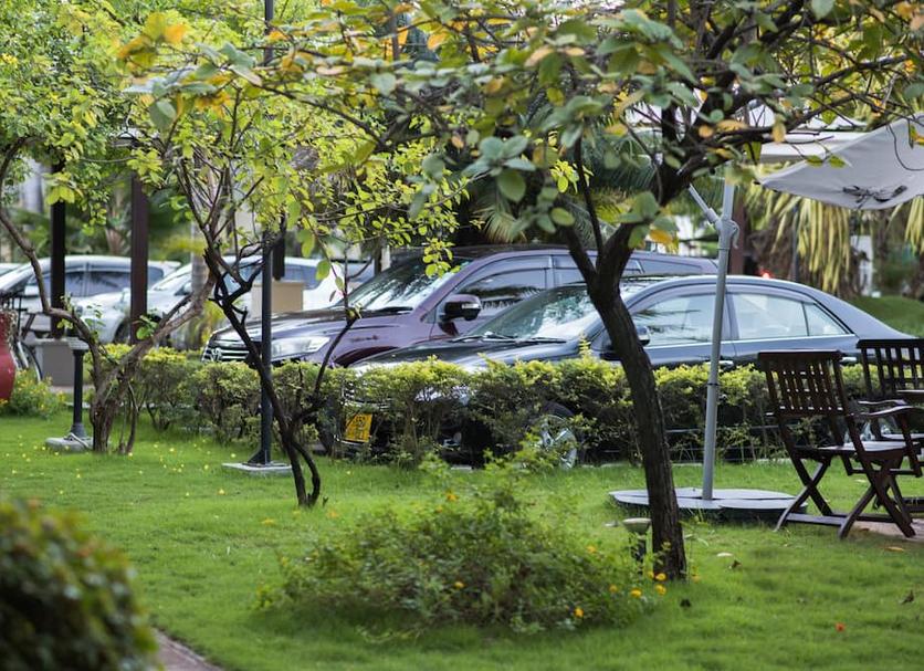Cảnh ngoài trời Ảnh