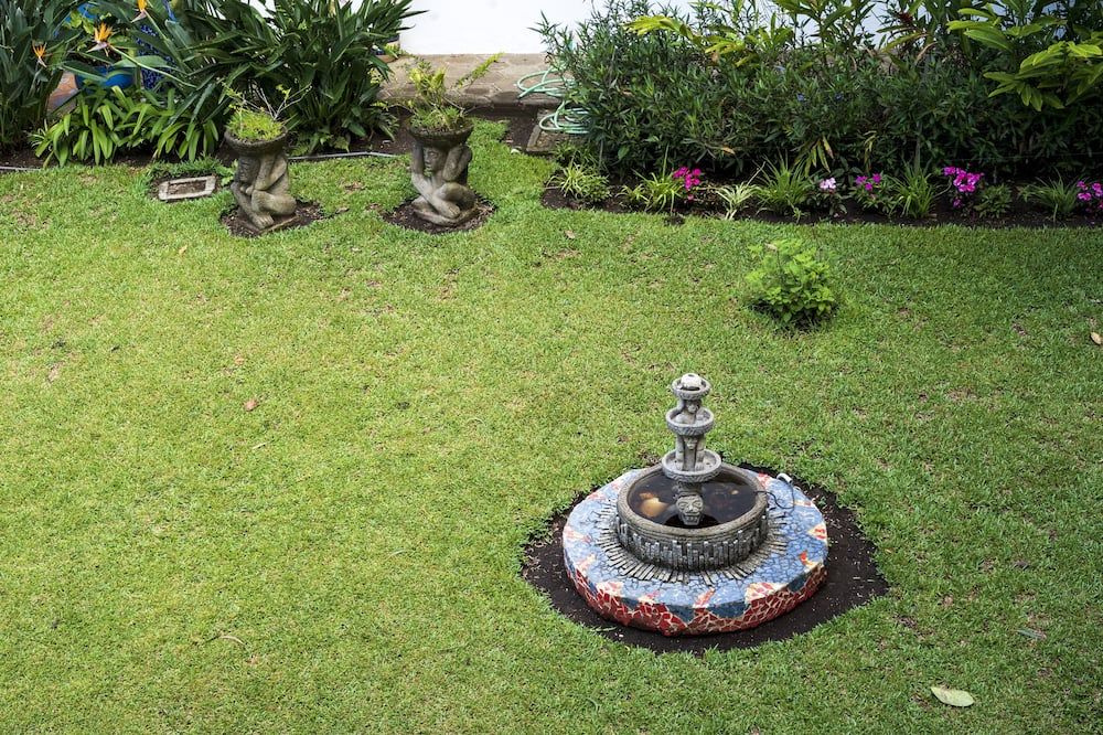 Cảnh ngoài trời