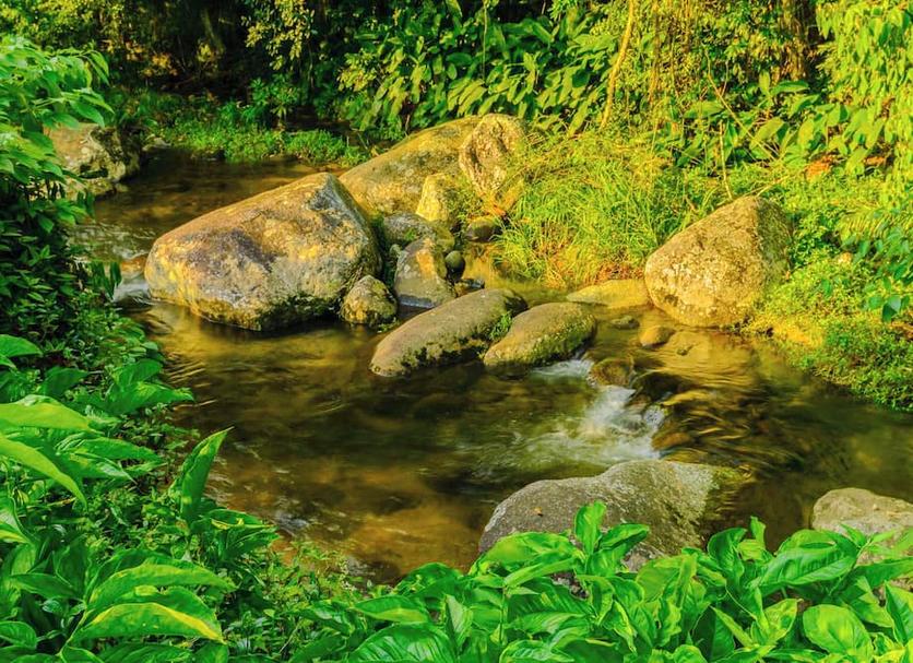 Cảnh ngoài trời Ảnh