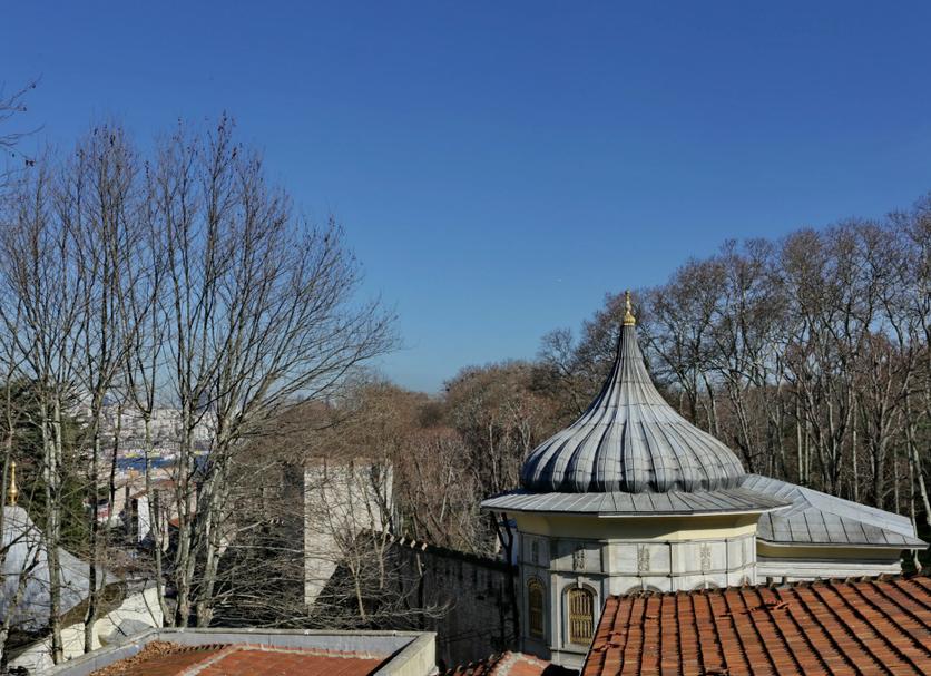 Cảnh ngoài trời Ảnh