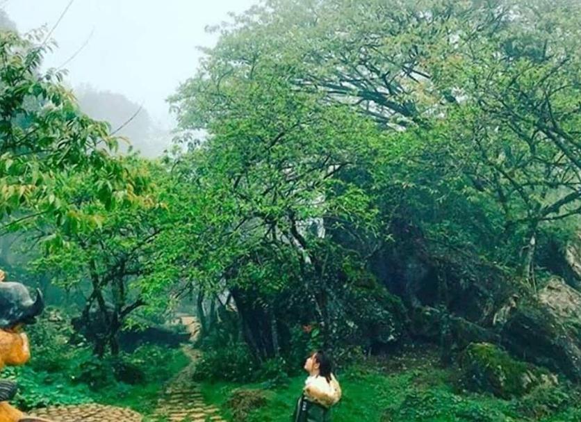 Cảnh ngoài trời Ảnh