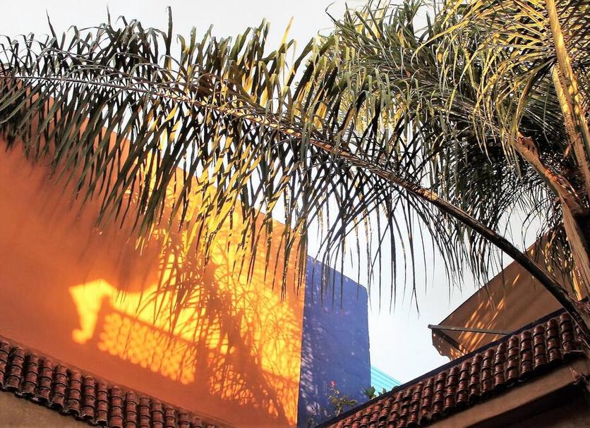 Cảnh ngoài trời Ảnh