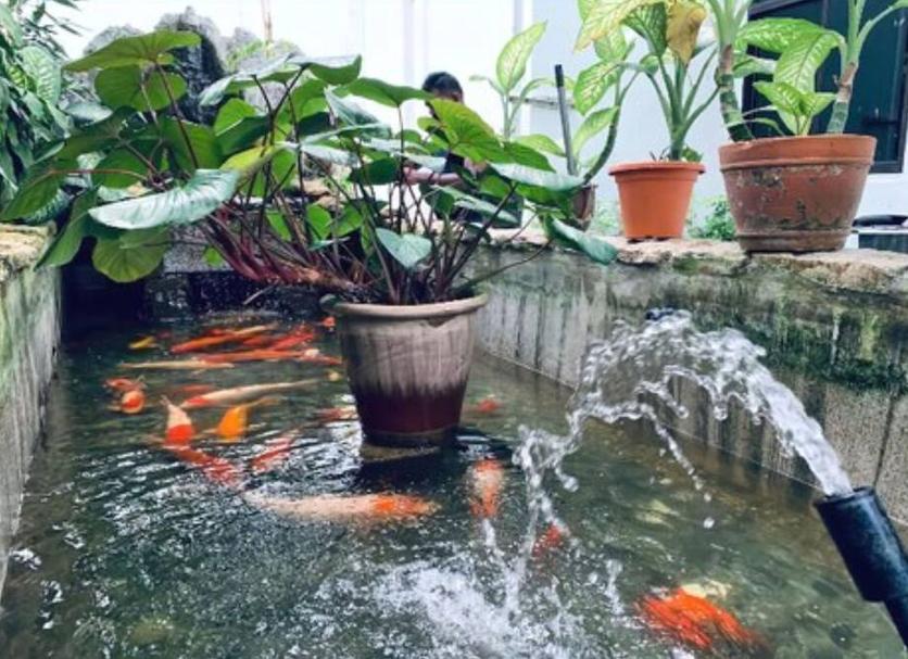 Khác Ảnh