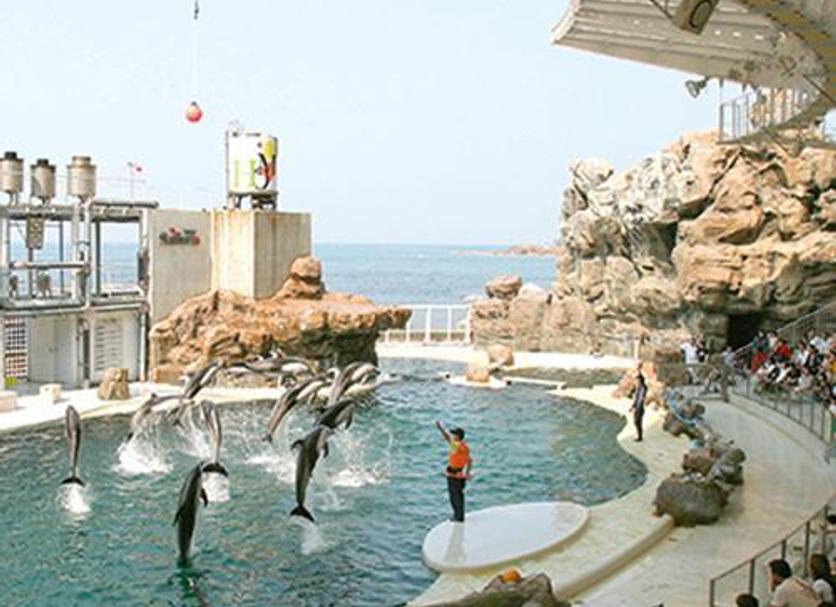 Khác Ảnh