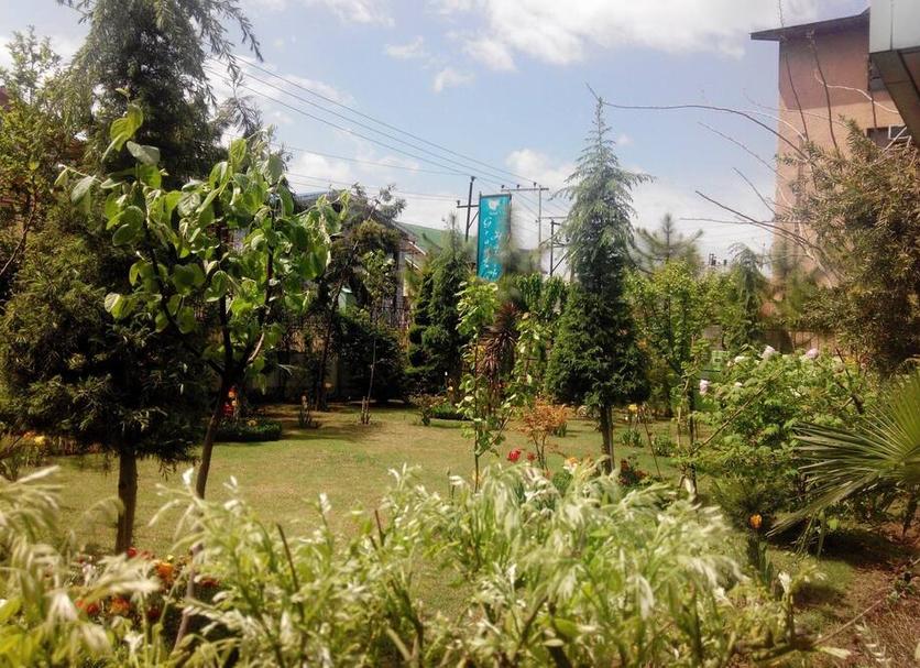 Cảnh ngoài trời Ảnh