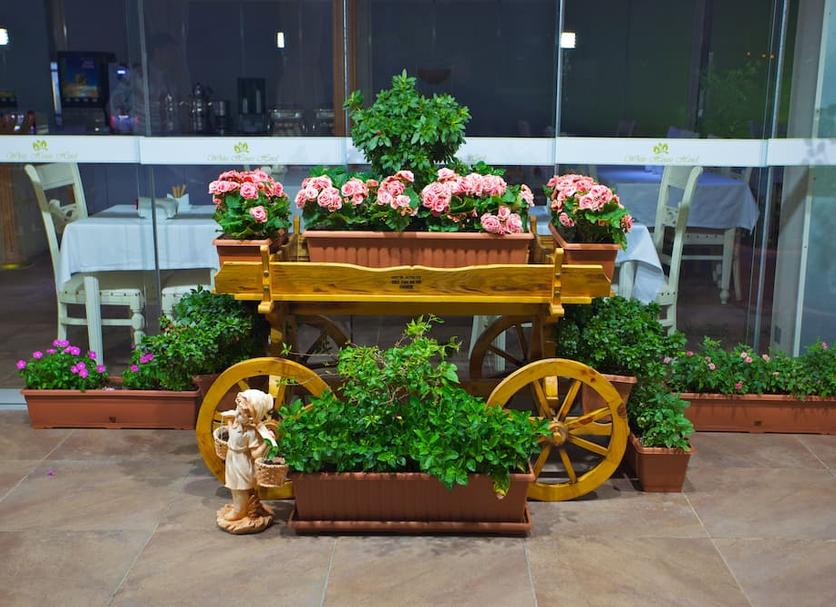 Cảnh ngoài trời Ảnh