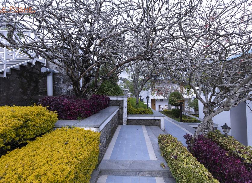 Cảnh ngoài trời Ảnh