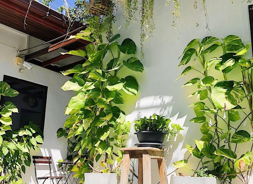 Cảnh ngoài trời Ảnh
