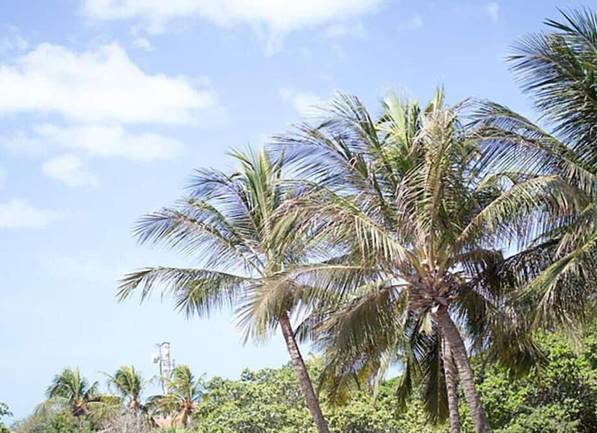 Cảnh ngoài trời Ảnh