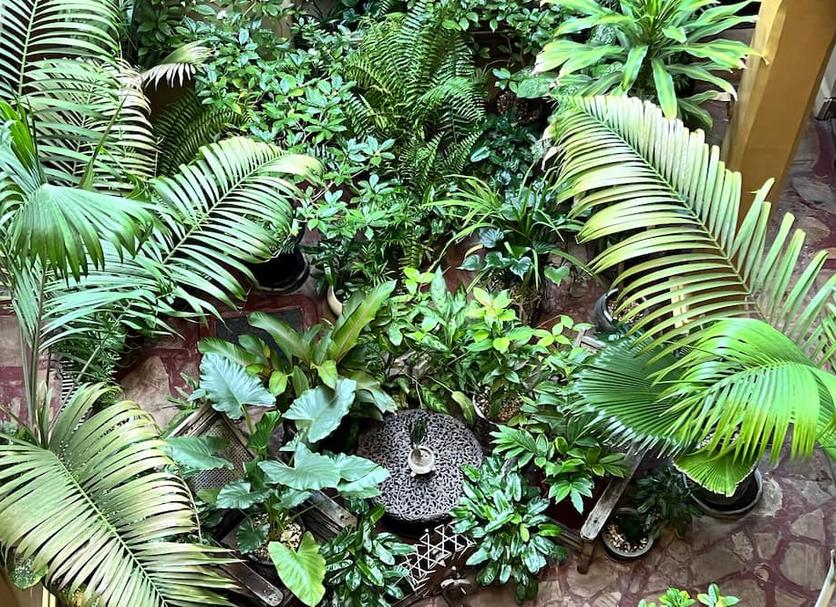Cảnh ngoài trời Ảnh