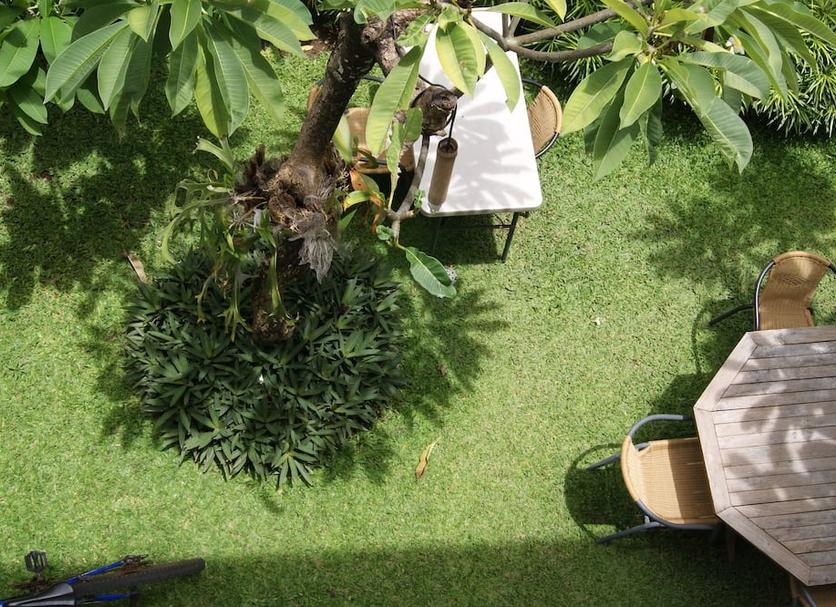 Cảnh ngoài trời Ảnh