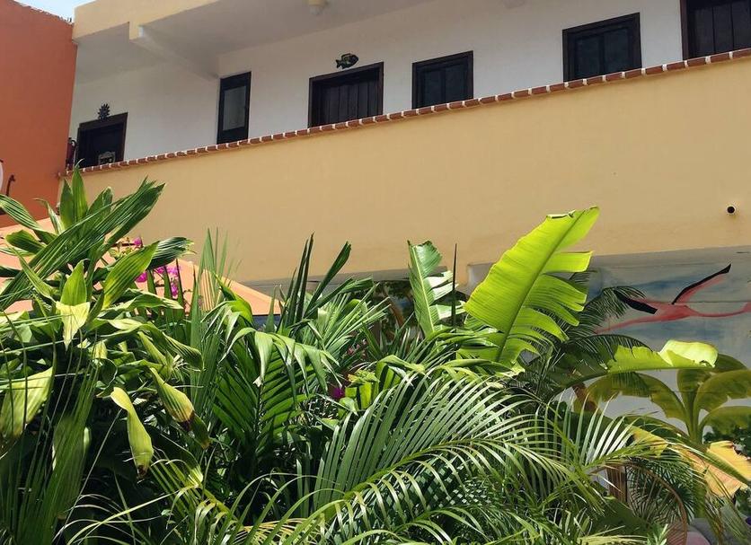 Cảnh ngoài trời Ảnh