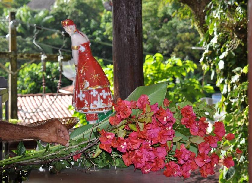 Cảnh ngoài trời Ảnh