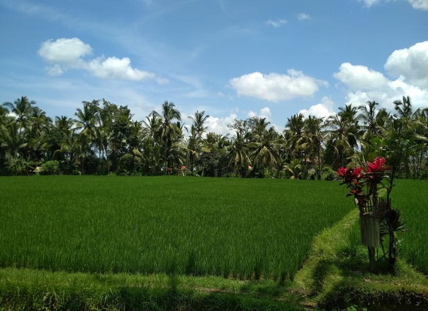 Cảnh ngoài trời Ảnh