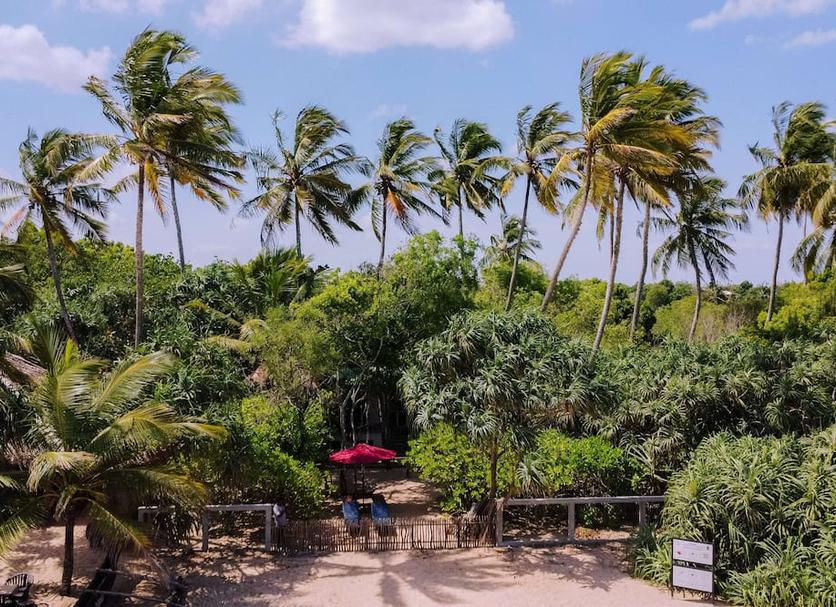 Cảnh ngoài trời Ảnh