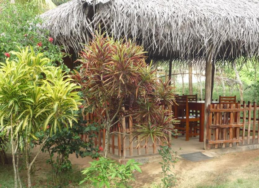 Khác Ảnh