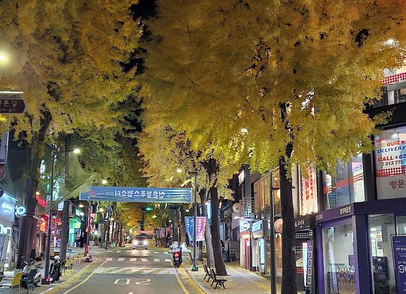 Cảnh ngoài trời Ảnh