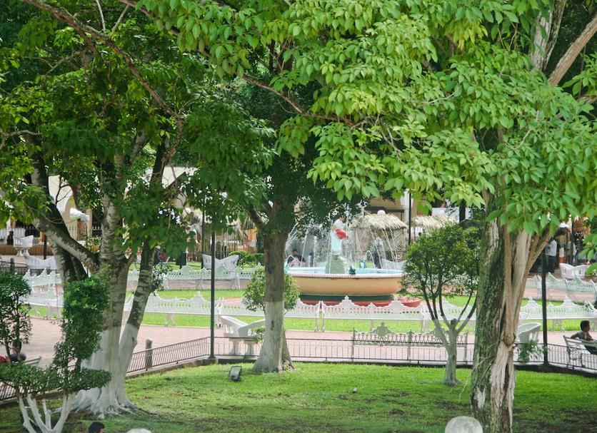Cảnh ngoài trời Ảnh