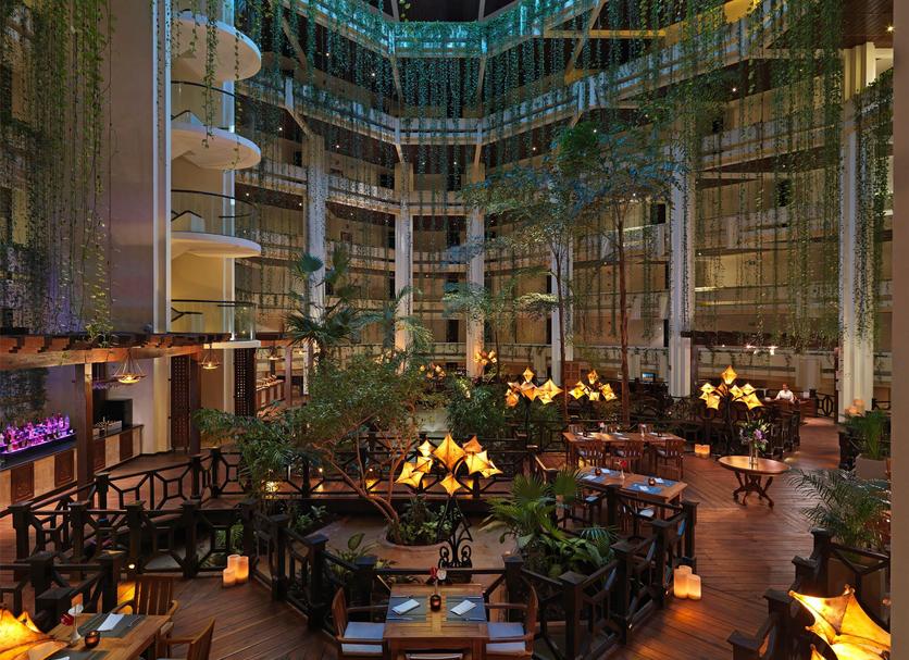 Hotel amenity Ảnh