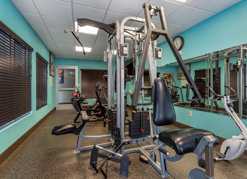 Gym Ảnh