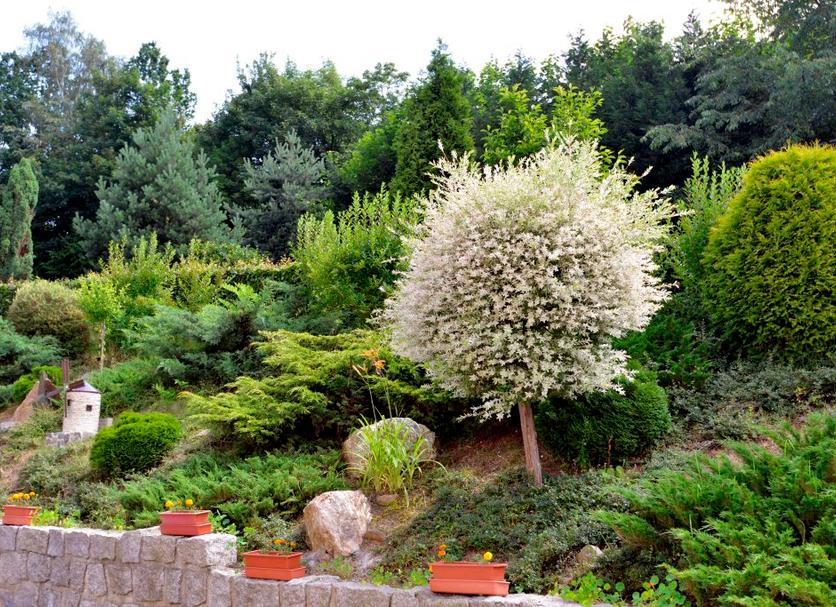 Cảnh ngoài trời Ảnh