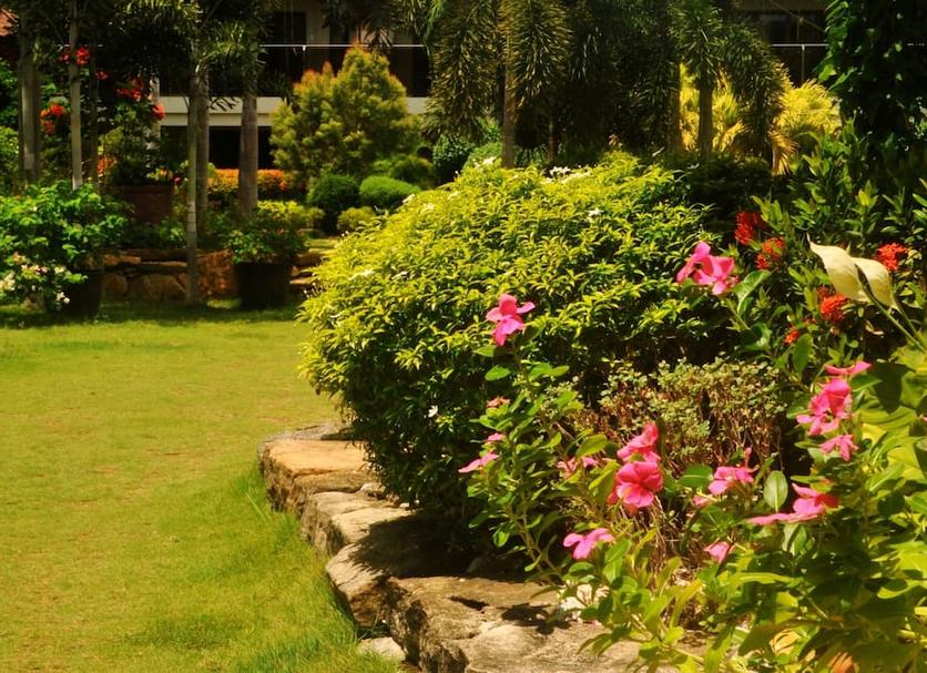 Cảnh ngoài trời Ảnh